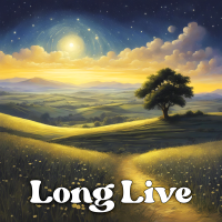 Long Live - Instrumental cover